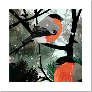 Bullfinches Posters and Art